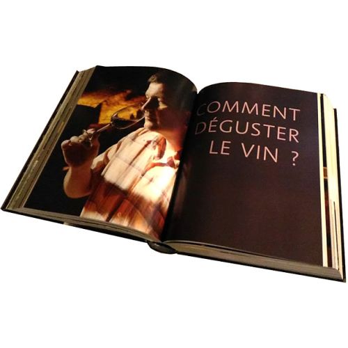 Guide complet pour découvrir les vins du monde entier et devenir un vrai connaisseur