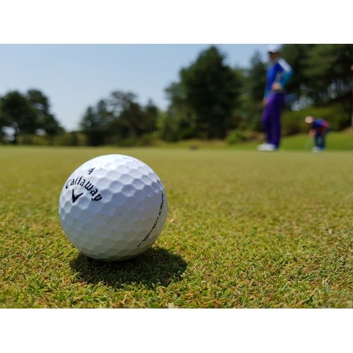 Le Petit Larousse du Golf - Le livre de référence pour apprendre à jouer au golf comme un pro.