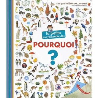 La petite encyclopédie des pourquoi : le cadeau parfait pour un enfant curieux.