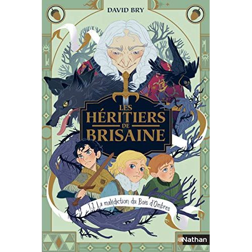 Couverture du livre Les Héritiers de Brisaine Tome 1, aventure fantastique pour enfants, magie et amitié.