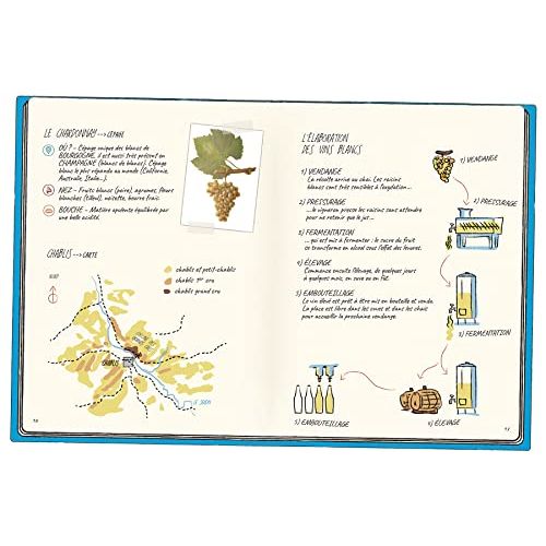 BD Oenologix, idéal cadeau pour amateurs de vin, initiation ludique à l'œnologie, écrit par François Bachelot, illustré par Vincent Burgeon.