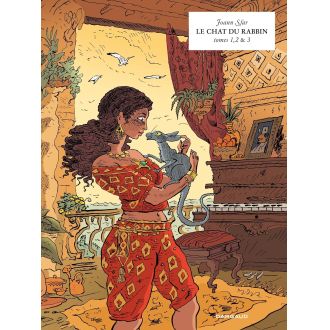 Coffret de bande dessinée Le Chat du Rabbin, trois premiers albums, idée cadeau originale, humour et réflexion, univers captivant, Joann Sfar.