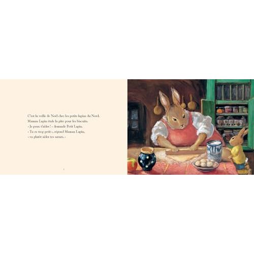 Le petit lapin de Noël livre d'histoire illustré pour enfants par Nadja et Olga Lecaye