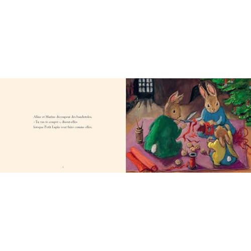 Le petit lapin de Noël livre d'histoire illustré pour enfants par Nadja et Olga Lecaye