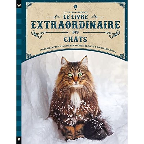 Livre Extraordinaire Des Chats - Barbara Taylor - Cadeau enfant passionné par les félins