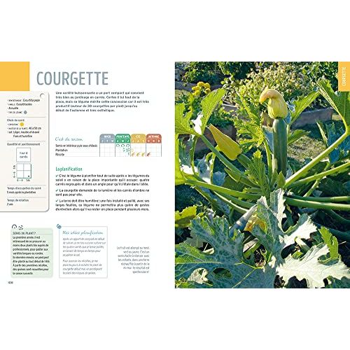 Guide pratique du potager en carrés, livre pour jardiniers débutants, méthode écologique, cultiver sur balcon, écrit par Anne-Marie Nageleisen. Cadeau idéal nature.