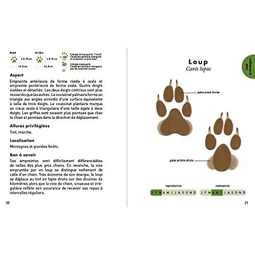 Guide d'identification des empreintes animales pour randonneurs