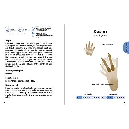 Guide d'identification des empreintes animales pour randonneurs