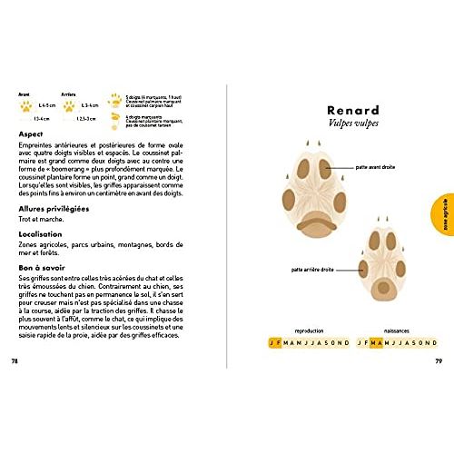 Guide d'identification des empreintes animales pour randonneurs