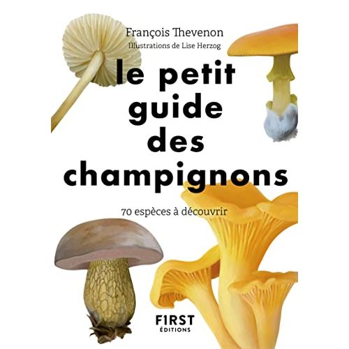 Guide champignons éducatif avec illustrations pour amoureux de la nature.