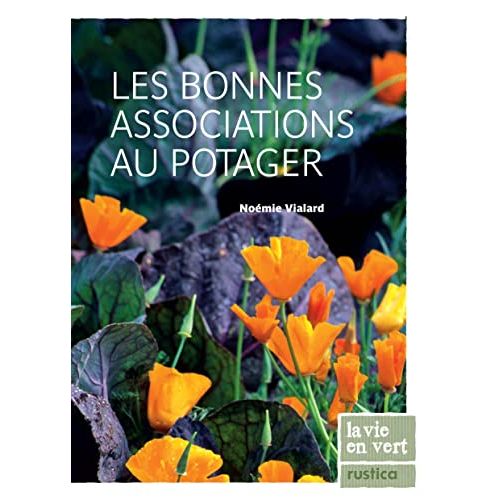 Les bonnes associations au potager