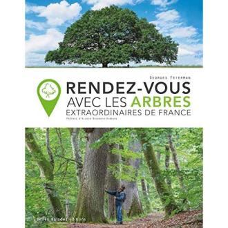 Les plus beaux arbres de France