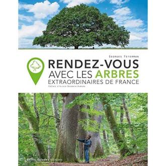 Livre Arbres extraordinaires de France, récit des arbres millénaires, cadeau pour passionnés de nature, émerveillement et connaissance, photographies captivantes.