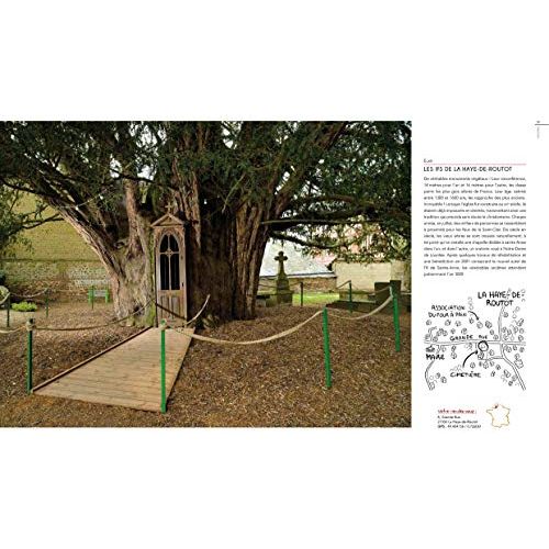 Livre Arbres extraordinaires de France, récit des arbres millénaires, cadeau pour passionnés de nature, émerveillement et connaissance, photographies captivantes.