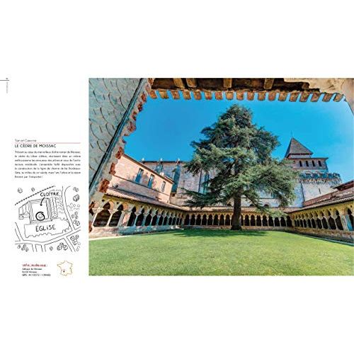 Livre Arbres extraordinaires de France, récit des arbres millénaires, cadeau pour passionnés de nature, émerveillement et connaissance, photographies captivantes.