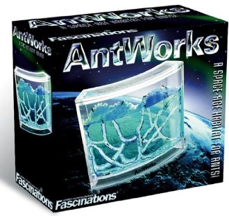 AntWorks Fourmilière