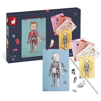 Jeu éducatif sur anatomie humaine Janod avec magnets et carte.