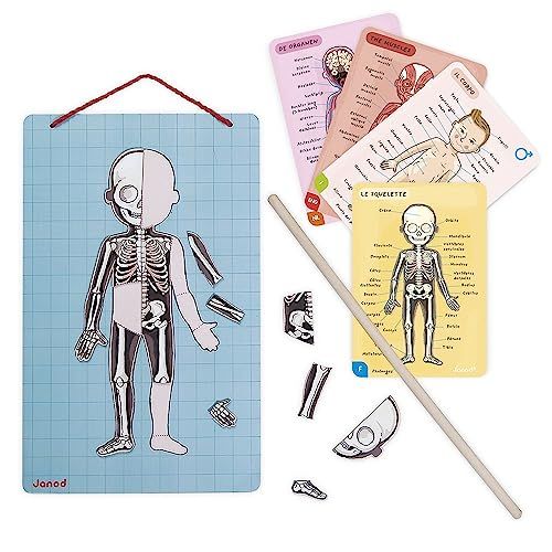 Jeu éducatif sur anatomie humaine Janod avec magnets et carte.