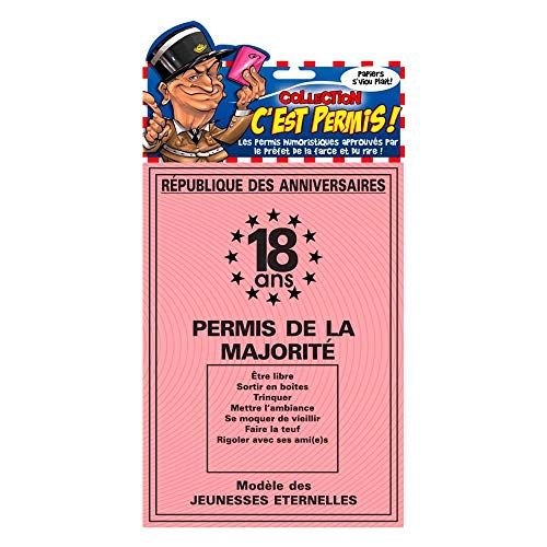 Permis de la majorité : un cadeau original et amusant pour les 18 ans !