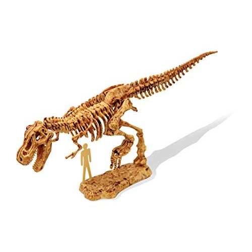 Kit de fouille de dinosaure Buki pour enfants, paléontologie ludique et éducative, assemblage T-Rex.