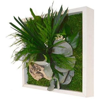 Mur végétal panoramique Flowerbox entretien facile durable écologique pour décoration intérieure apaisante.