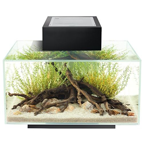 Aquarium Fluval Edge moderne avec éclairage LED et système de filtration pour un habitat aquatique élégant et serein.