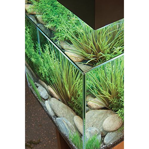 Aquarium Fluval Edge moderne avec éclairage LED et système de filtration pour un habitat aquatique élégant et serein.