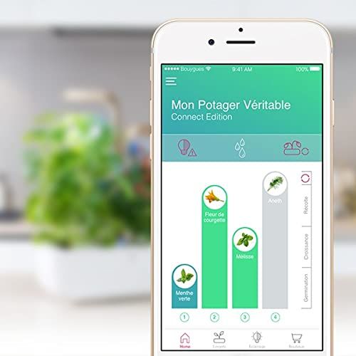 Potager intérieur connecté Véritable pour cultiver des herbes aromatiques toute l'année avec éclairage LED intelligent et arrosage automatique, idéal citadins et technophiles.