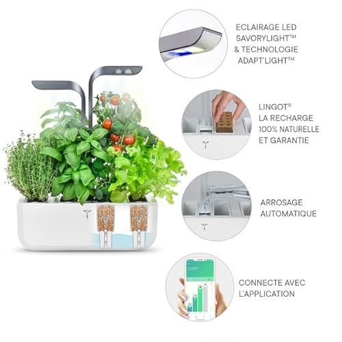 Potager intérieur connecté Véritable pour cultiver des herbes aromatiques toute l'année avec éclairage LED intelligent et arrosage automatique, idéal citadins et technophiles.