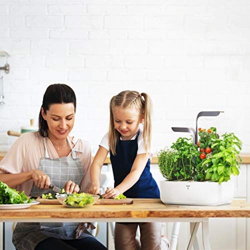 Potager intérieur connecté Véritable pour cultiver des herbes aromatiques toute l'année avec éclairage LED intelligent et arrosage automatique, idéal citadins et technophiles.