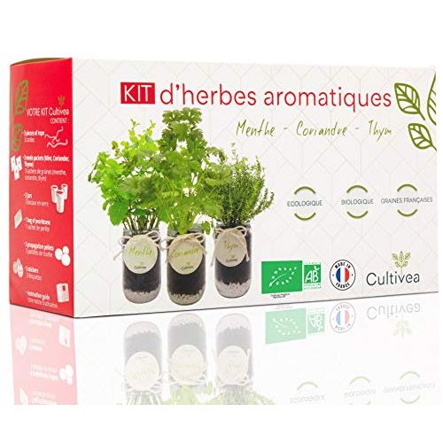 Kit Cultivea d’herbes aromatiques biologiques pour jardiniers de tous niveaux