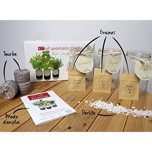 Kit d'herbes aromatiques Cultivea pour culture intérieure, pots et graines bio inclus