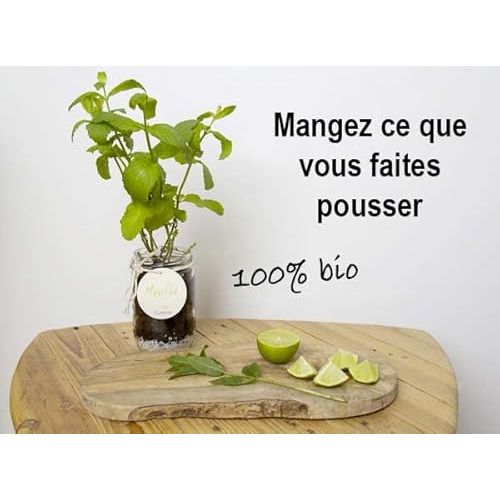 Kit d'herbes aromatiques Cultivea pour culture intérieure, pots et graines bio inclus