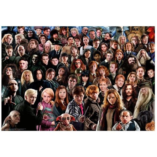 Puzzle Harry Potter - Ravensburger - 1000 pièces - Scènes emblématiques - Pour fans d'Harry Potter adeptes de puzzles.