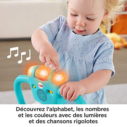 Jouet éducatif Fisher-Price Chien Tourni-Rebond, développe capacités motrices, cognition enfants 1 an, design stable, ludique, interactif, sécurisé.