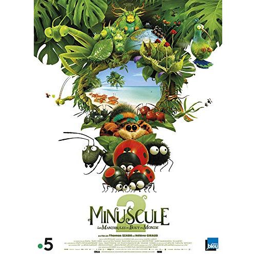 Minuscule Coffret 2 DVD avec aventures animées et leçons de vie pour la famille