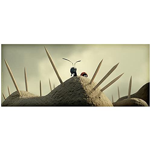 Minuscule Coffret 2 DVD avec aventures animées et leçons de vie pour la famille