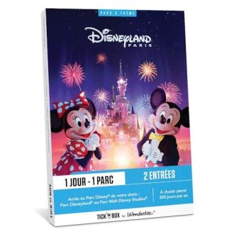 Entrée parc Disneyland Paris coffret cadeau