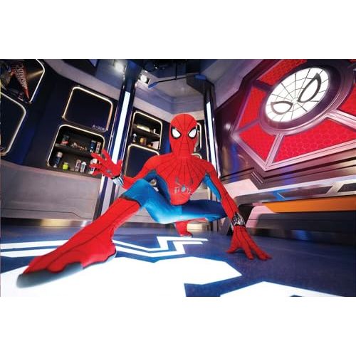 Entrée parc Disneyland Paris coffret cadeau