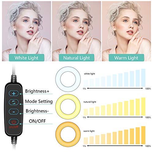 Ring Light avec Trépied, 10 pouces, LED réglables, cadeau idéal pour création de contenus, selfies, vidéos, maquillage, améliore l'éclairage et la créativité.