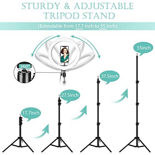 Ring Light avec Trépied, 10 pouces, LED réglables, cadeau idéal pour création de contenus, selfies, vidéos, maquillage, améliore l'éclairage et la créativité.