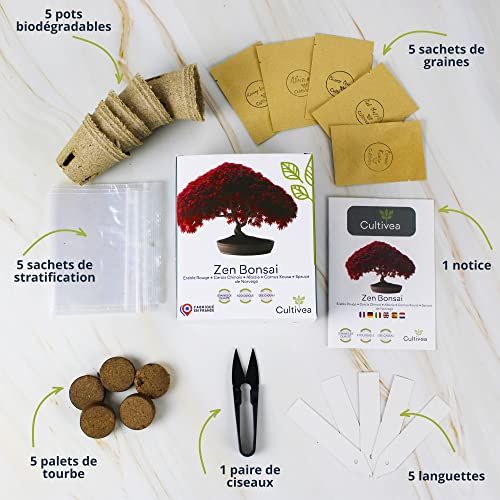 Kit bonsaï Cultivea complet avec pots biodégradables et graines biologiques