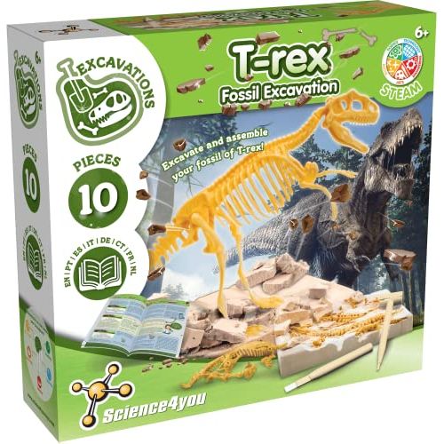 Kit fouille T-Rex éducatif pour passion paléontologie garçon 6 ans