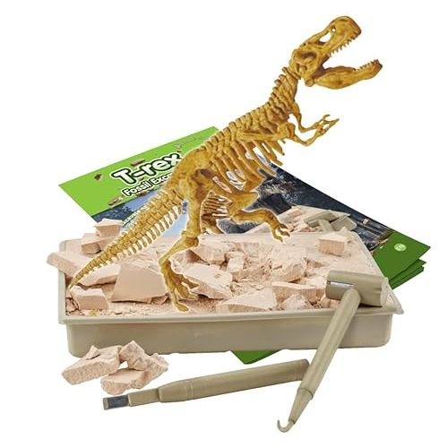 Kit fossile T-Rex enfant pour apprentissage STEAM