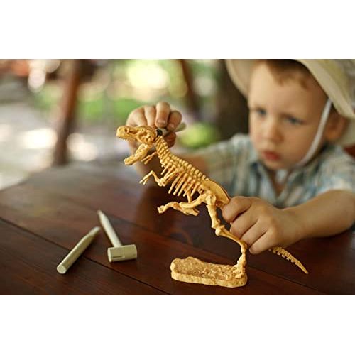 Kit fossile T-Rex enfant pour apprentissage STEAM
