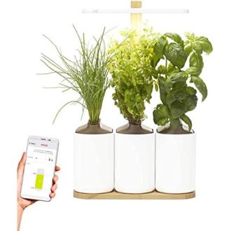 Potager intérieur connecté - Idée cadeau pour faire pousser des herbes aromatiques toute l'année avec une connexion intelligente.