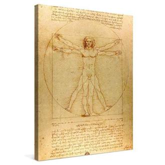 Toile L'homme de Vitruve, cadeau élégant, art de Vinci, décoration murale intérieure, impression de qualité Picanova.
