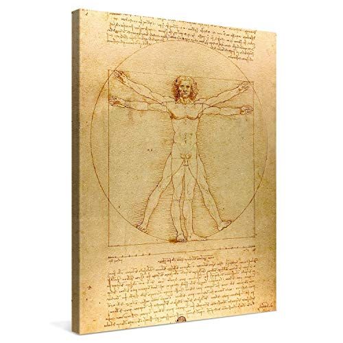 Toile L'homme de Vitruve, cadeau élégant, art de Vinci, décoration murale intérieure, impression de qualité Picanova.