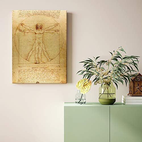 Toile L'homme de Vitruve, cadeau élégant, art de Vinci, décoration murale intérieure, impression de qualité Picanova.
