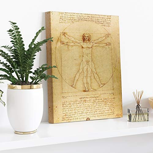 Toile L'homme de Vitruve, cadeau élégant, art de Vinci, décoration murale intérieure, impression de qualité Picanova.